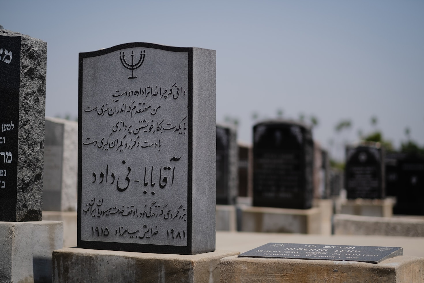 Stammbäume aus Westerkappeln: Geschichten und Generationen